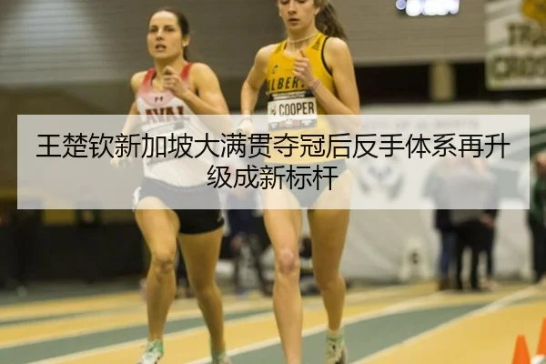 wang-chu-qin-xin-jia-po-da-man-guan-duo-guan-hou-fan-shou-ti-xi-zai-sheng-ji-cheng-xin-biao-gan-3-290.jpg