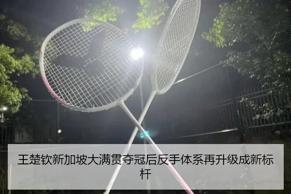王楚钦新加坡大满贯夺冠后反手体系再升级成新标杆